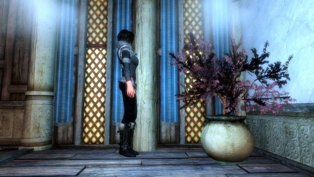 skyrim dress mod: Броня Северянки Northgirl Armor смотреть онлайн