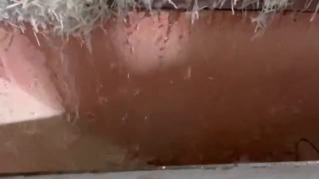 Переработка полимеров | Биг бег смотреть онлайн