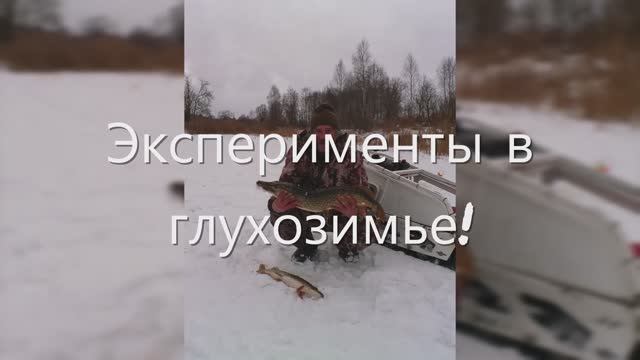 Эксперименты в глухозимье (1)! Рыбалка 31.01.2023г.