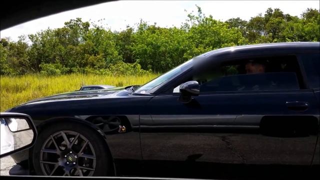 Scat Pack Challenger vs Subaru WRX, Mustang 5.0, 9th Gen Civic Si, RSX Type S смотреть онлайн