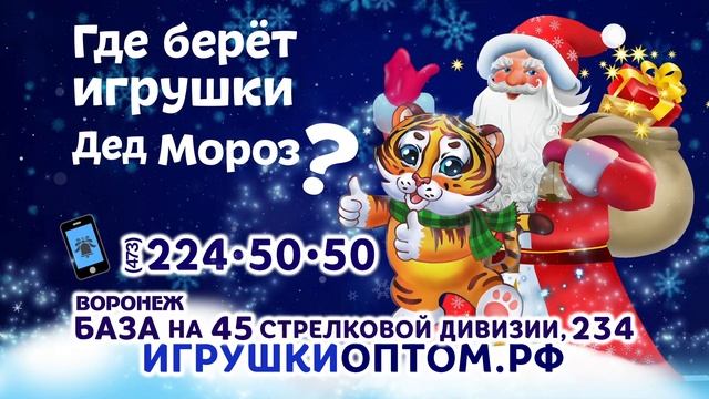 База игрушек на 45-ой стрелковой дивизии в Воронеже 0+ смотреть онлайн