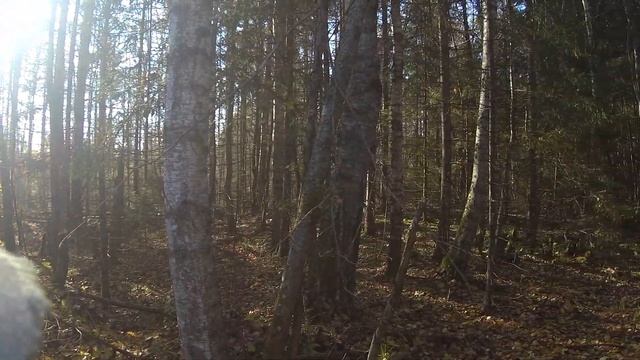 Охота на зайца 05.10.2021 смотреть онлайн