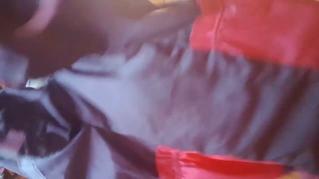 Одежда для собак. Моя такса. смотреть онлайн