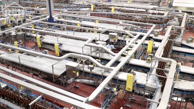 👑 CORONA produce 20 MILLONES de botellas al DÍA 🔴 ¿Cómo lo hizo? смотреть онлайн