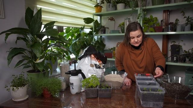 Идеальная рассада томатов за 30 дней смотреть онлайн