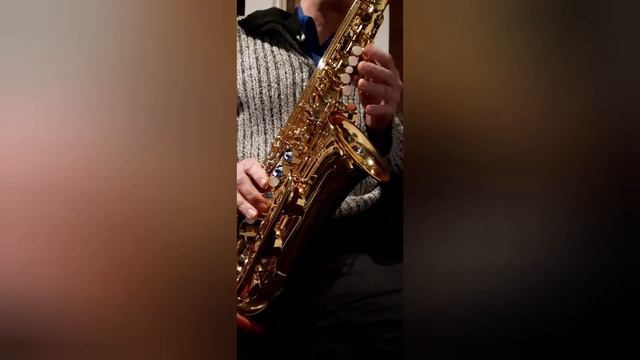 Alto Sax & Mini Synth Jam VI - MrFabiusynth + klAUDIO64 #dawless #synthpop #synthwave смотреть онлайн