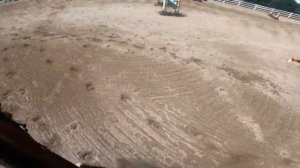 Конкур от первого лица #лошади #кони #любовь #конюшня #конныйспорт  #лошадь