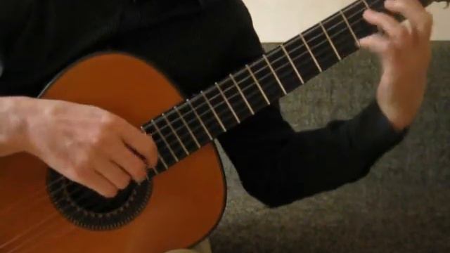 Whataya Want From Me - Adam Lambert - Classic guitar смотреть онлайн
