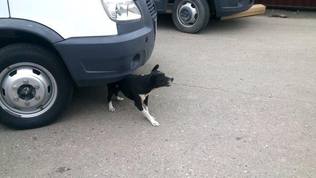 Массажер для спины) смотреть онлайн