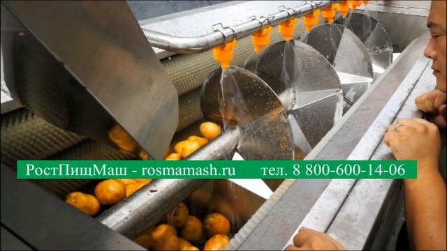 Машины щеточные для мойки корнеплодов GB2600 от РостПищМаш смотреть онлайн