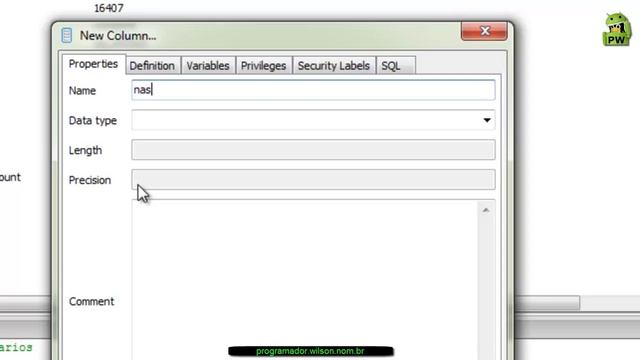 Adicionando novos campos na tabela usuário no banco Postgres - Java ee - 017 смотреть онлайн