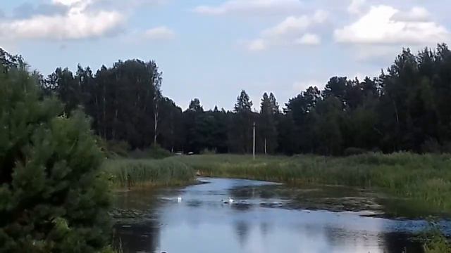 Замечательный солнечный день на озере Суя смотреть онлайн