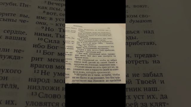 Псалом 58. Молитва об избавлении. Библия. Псалмы Давида. Псалтырь. смотреть онлайн