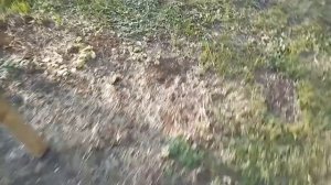 Осенняя подкормка саженцев яблони и груши.