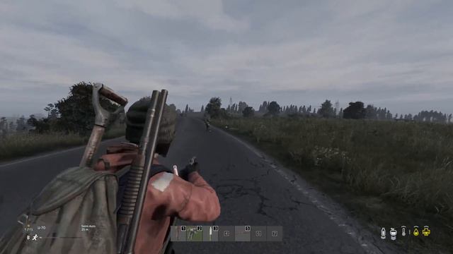 DAYZ Day 1 смотреть онлайн