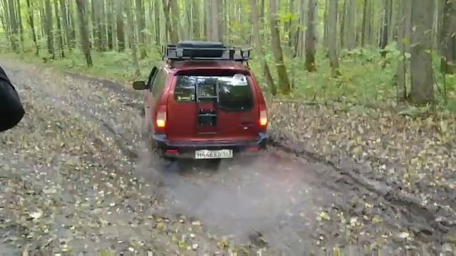 20 сентября 2020 г. поездка в лес. смотреть онлайн