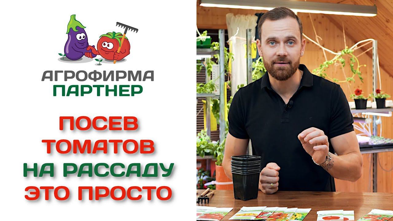 Посев томатов на рассаду - это просто