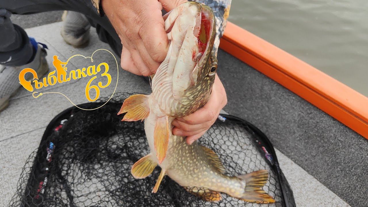 ЧУТЬ НЕ ПОПАЛИ НА 200 ТЫСЯЧ. Плетенка не выдержала, трофейная щука гнет спиннинг смотреть онлайн