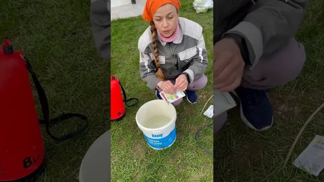 Весення обработка деревьев в саду. Вы обрабатываете? #дача #садоводство #сад #свойдом смотреть онлайн