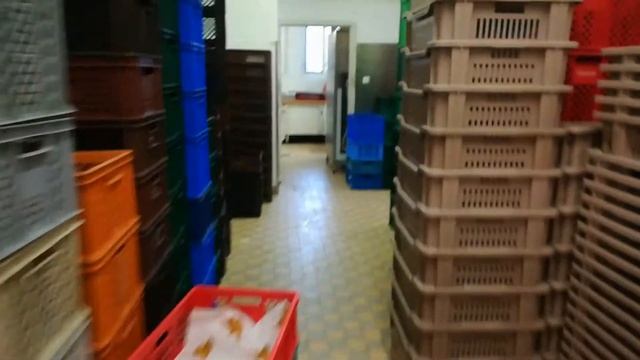 Работа пекарни в Австрии. Начало практики смотреть онлайн