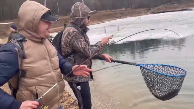 2 апреля 2023 г.