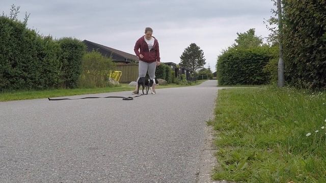 Recall Games 1 смотреть онлайн