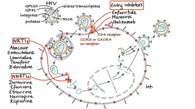 Pharmacology - ANTIVIRAL DRUGS (MADE EASY).mp4