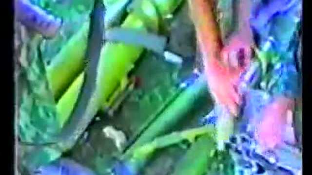 Абхазия. Камани-Ачадарский фронт. смотреть онлайн