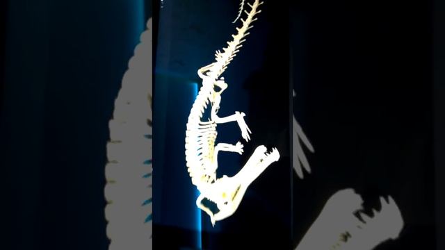 Скелет крокодила смотреть онлайн