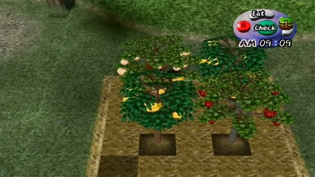 Let's Play Harvest Moon: Another Wonderful Life 42: The Seeds смотреть онлайн