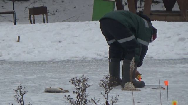 Видео зарисовки . Рыбалка . Отдых . " Тимка" 21.02.2016. смотреть онлайн