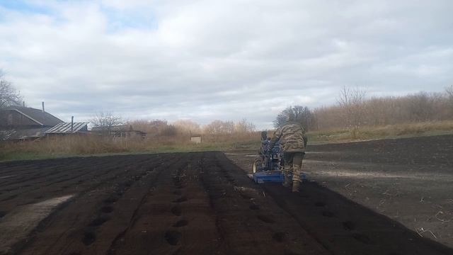 Мотоблок Скаут. Раскисляем почву при помощи золы. Гоняю проволочника на картофельном участке. смотреть онлайн