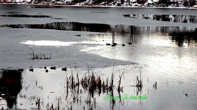 Тест объектива 70 200 Canon. смотреть онлайн