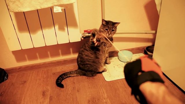 Как быстро помыть велосипедный шлем! смотреть онлайн