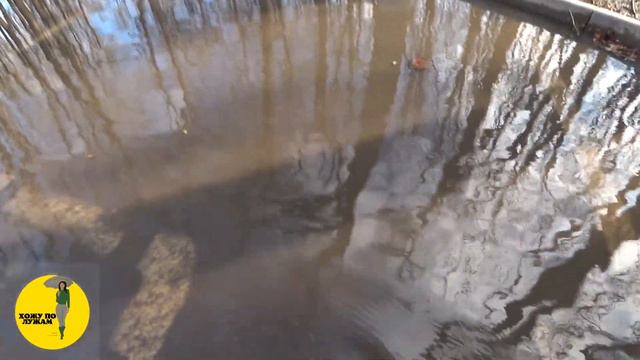 ХОЖУ ПО ЛУЖЕ смотреть онлайн