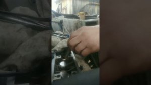 Замена маслосъемных колпачков Каптива 2.4 136 л.с. без снятия ГБЦ