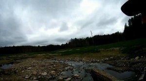 Уходящее #карстовоеозеро# Боровичский район #новгородскойобласть#