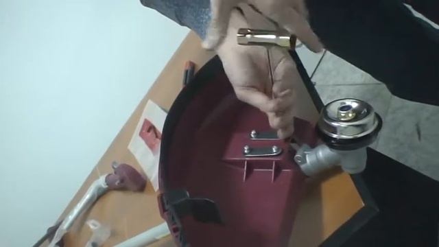 Expert 33