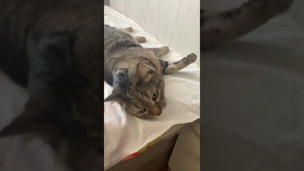 Поймал когда моется смотреть онлайн