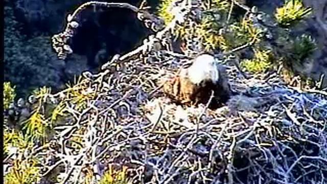 K10's Disappearing Act смотреть онлайн