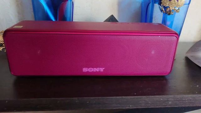 Портативная колонка Sony SRS - HG1. смотреть онлайн