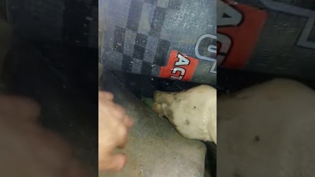 гидроизоляция цоколя на деформационном шве пристройка/спортзал смотреть онлайн