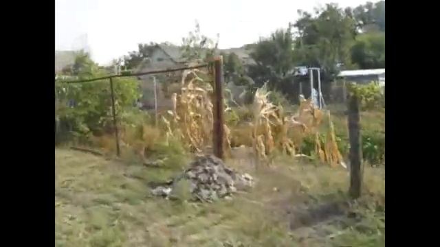 Путешествие на букву Ц: ЦЫГАНСКОЕ смотреть онлайн