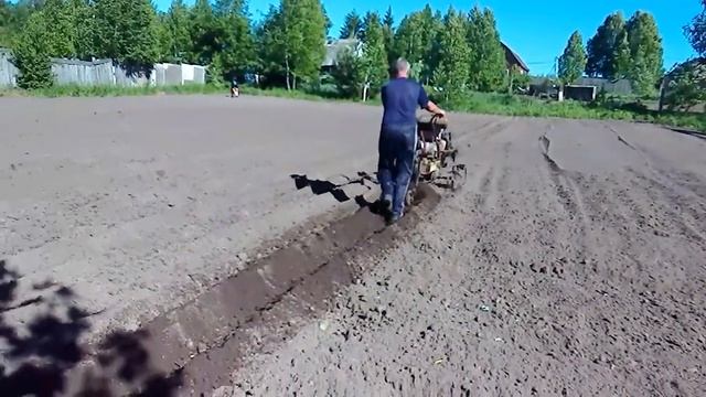 нарезаем борозды для посадки картофеля смотреть онлайн