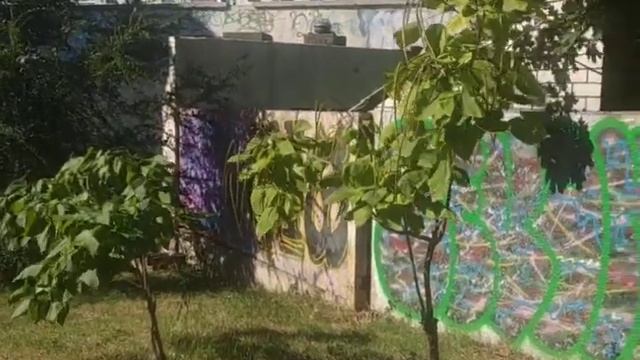 13.08.2019. Мозаика города. 4-й фрагмент смотреть онлайн