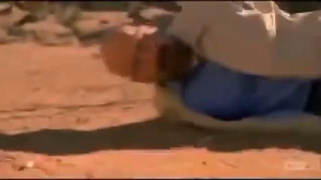 Walter White Falls With Undertale Music