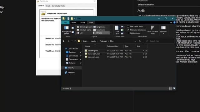 Enabling RESTful API TLS Certificate Validation смотреть онлайн