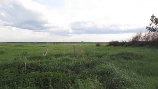 Опустевшая деревня Сорочья Крепость, Аткарский район смотреть онлайн