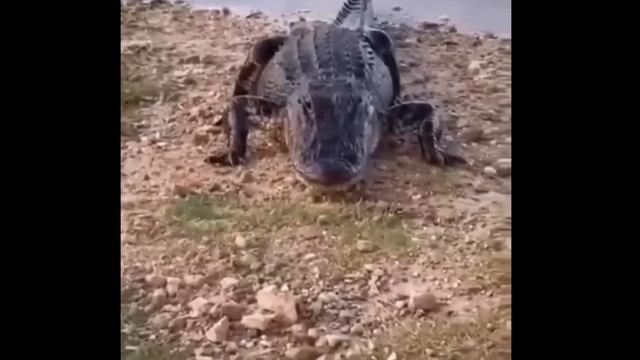 offensive memes that if ylyl 18 смотреть онлайн