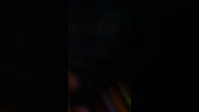 Едем на речку !?Сплю на балконе???Первая часть /Sasha Smail смотреть онлайн